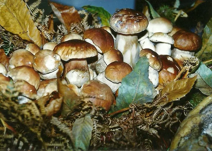 Logis Restaurant Au Bon Accueil 2*